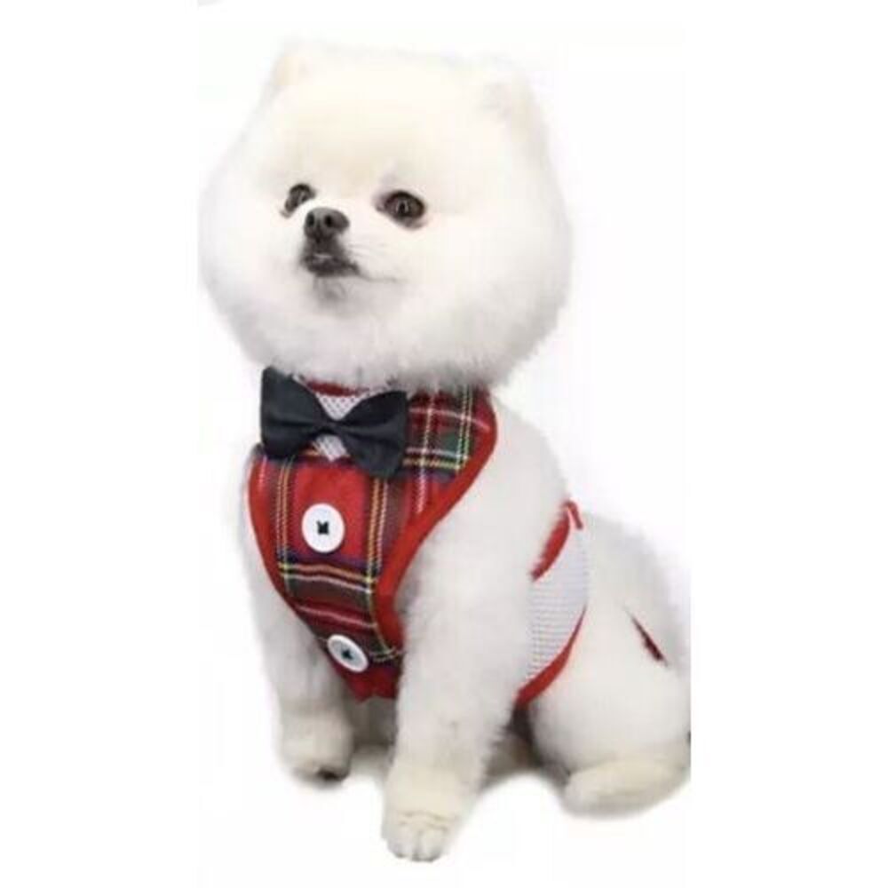 Small Dog Cat vest Breathable Mesh Harness Collar soft chest strap L Leash set